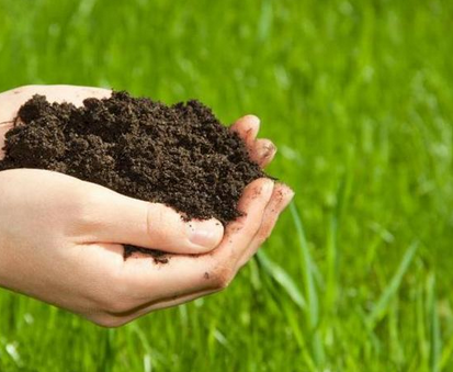 土壤污染事件频发 土壤修复技术如何突破？