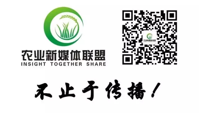   告别“土特产时代”中国农业新媒体联盟助推农业品牌化精准营销