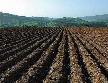 中国农田土壤农药污染现状和防控对策