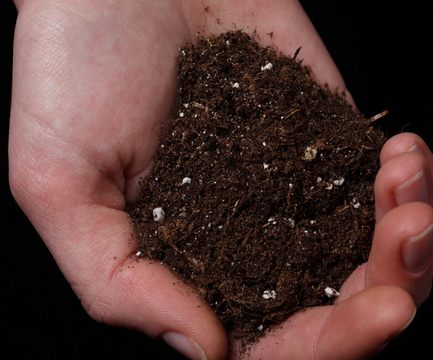 高效去除“土壤毒素”的新材料问世