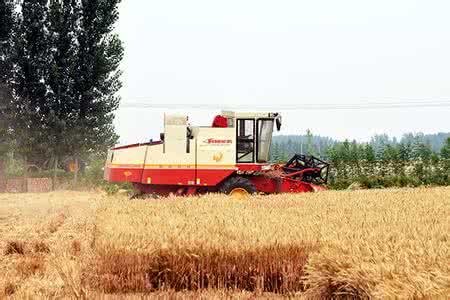 农业部专家指导组发布《倒伏小麦收获收割机调整方法及操作注意事项》.jpg