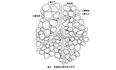 土壤通气性与合理施肥有什么关系？