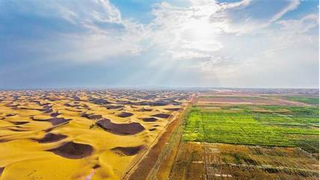 4000亩沙漠成良田 重庆交大实现“沙子土壤化”