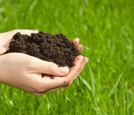 “沙子土壤化”自修复 4000亩沙漠成良田