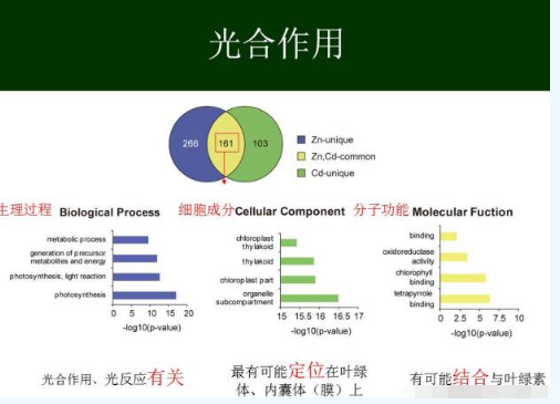 专家观点：重金属污染土壤修复进程与挑战