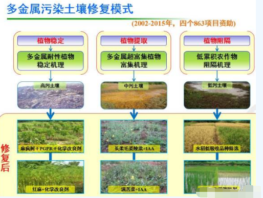 专家观点：重金属污染土壤修复进程与挑战