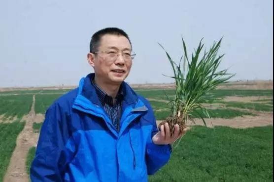 为生态，为农业，为明天，2017中国生态肥料高峰论坛邀您一起出发!
