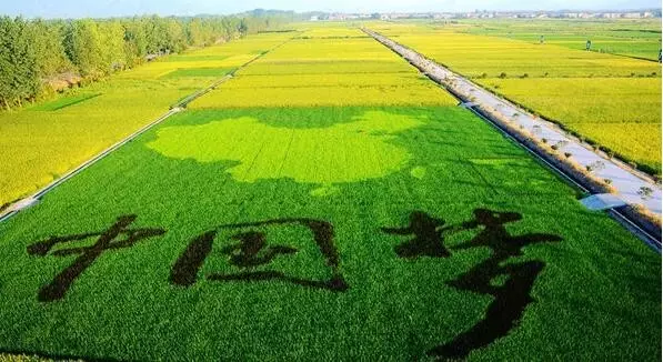 又到一年国庆日，又到一届展会时！