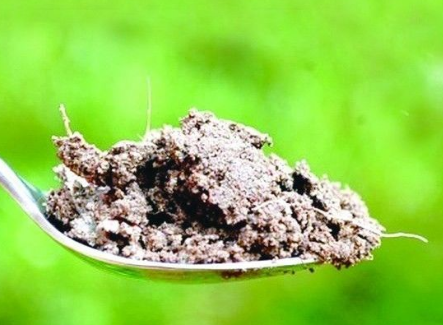 一勺土壤中 有多少微生物？