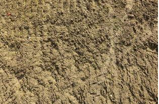 泥土能治很多病，而我们视之如毒药？
