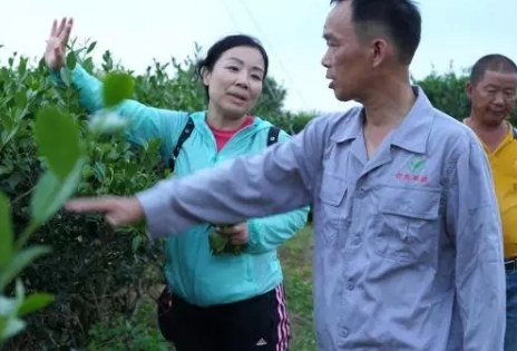 廖红：和土壤“对话”的女科学家