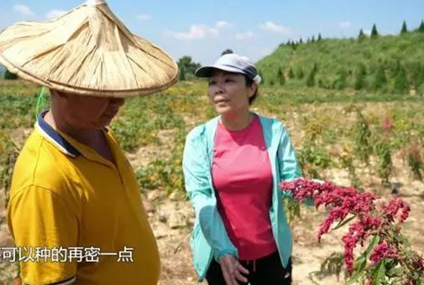 廖红：和土壤“对话”的女科学家