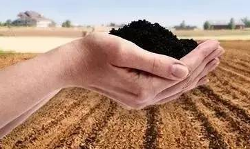 土壤板结形成的主要原因以及消除办法