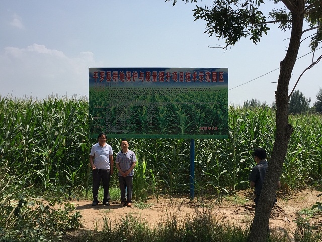 厉害了！连续四年中标宁夏耕地保护与质量提升项目