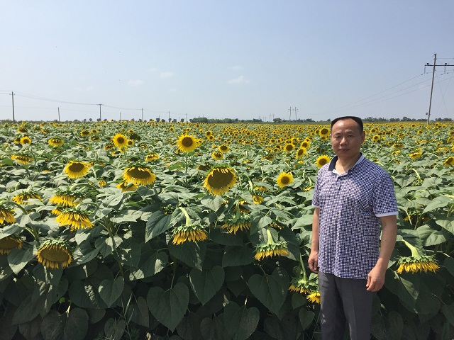 厉害了！连续四年中标宁夏耕地保护与质量提升项目