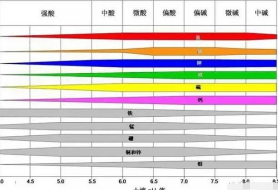 土壤出了问题，肥料用再多也别想增产！