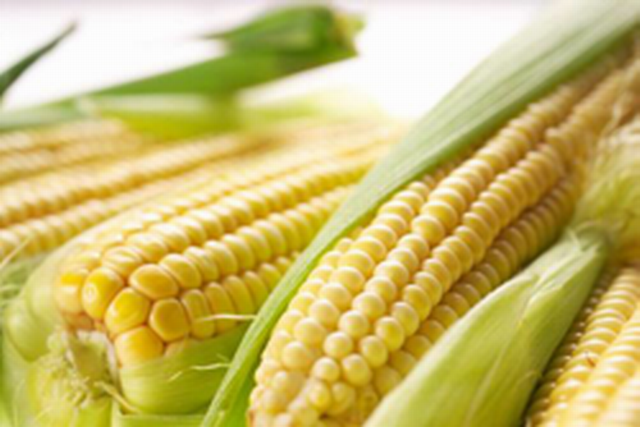 新一年玉米价格走势，跌还是不跌？