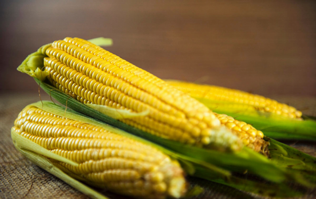新一年玉米价格走势，跌还是不跌？