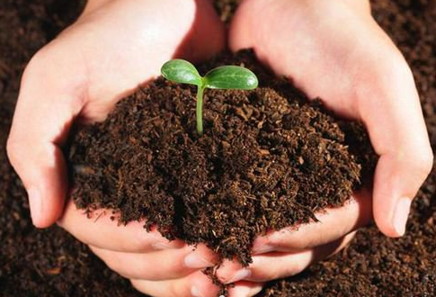 科学用肥治理土壤污染