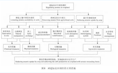 农田土壤中砷的来源及调控研究与展望