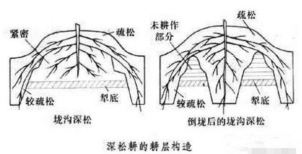 什么叫土壤深松？