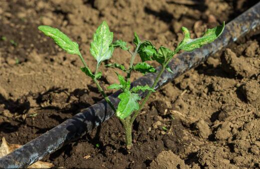 改善土壤环境用优质有机肥