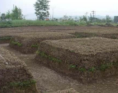 土壤透气作物才能长得好，学会这四点改善土壤透气性！