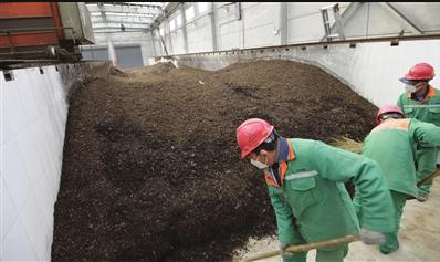 绿植回收变身肥料 产出土壤改良肥料500立方米