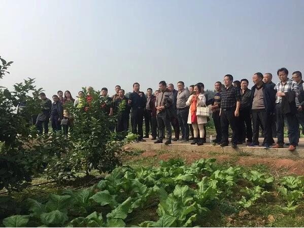 安岳-国家农业科技园柠檬水肥一体化技术示范现场会举办,华宏科技成果尽显