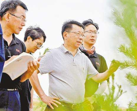 中国发明神奇黏合剂，能让沙漠土壤化，已有4000亩试验田变绿洲