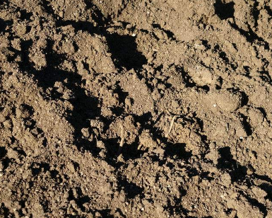 白蚁堆影响土壤养分的时空分布格局