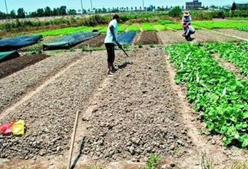 土壤物理、化学、生物性状改良方法