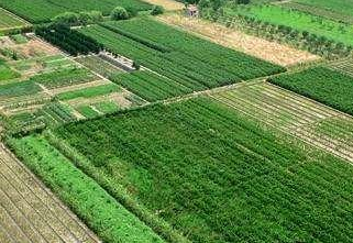 土壤连年耕作造成酸性化的解决办法