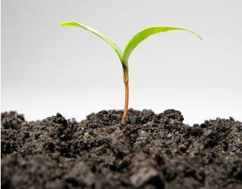 先有肥料安全再谈土壤健康