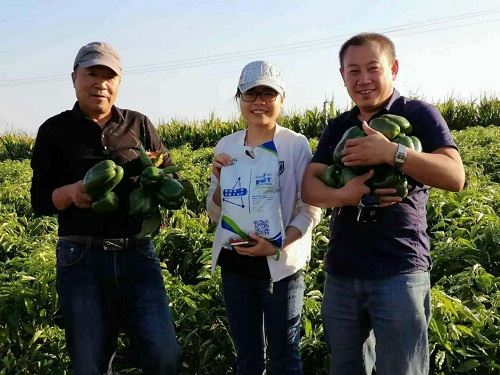 【惊】肥料使用直接减少50%，不减产！