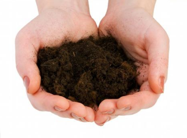 生石灰常常用于土壤消毒，真的有作用吗？