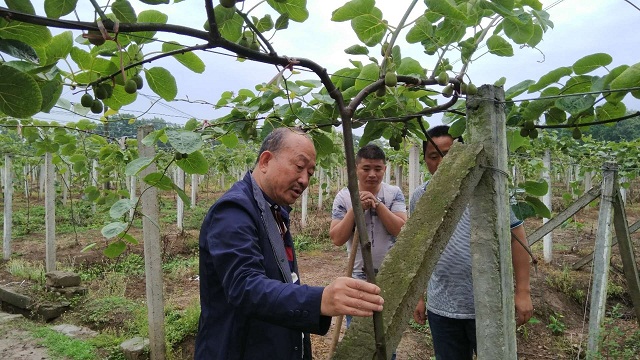 深耕农村十余载，土壤改良怪人的“土壤梦”！