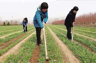 补充了土壤水分 “及时雪”带来丰收希望