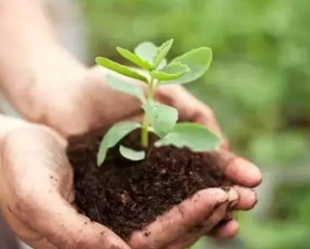 酸性土壤改良培肥方法