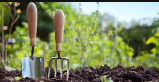打造完美的菜园子土壤，你应该知道的3种方法!