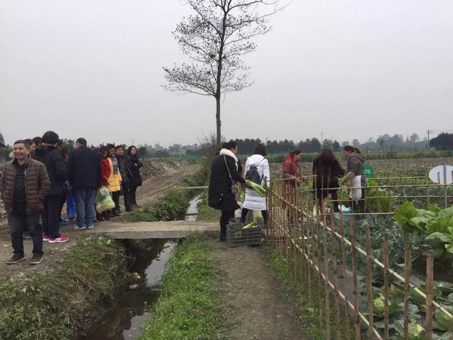 地还是那些地，人还是原来那些人，开心田园帮助农民致富大转变！