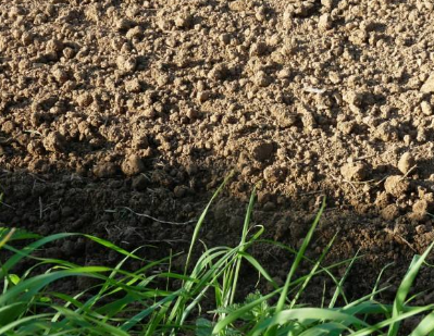 颠覆传统耕作模式，可明显改良土壤、大幅提高粮食产量 扫码阅读手机版