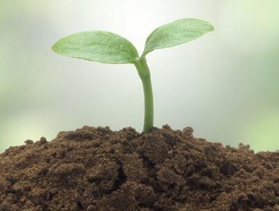 加快实施土壤培肥改良与治理修复