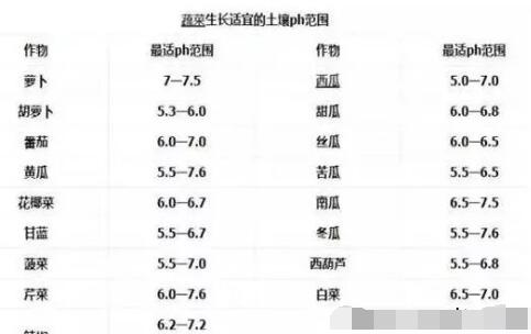 农业种植技术:蔬菜土壤的酸碱度调节