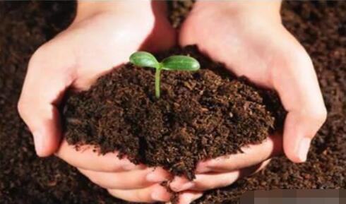 土壤修复藏商机：团粒技术为作物提供“精粮”