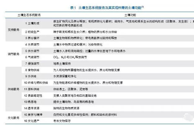 从问题到解决方案：土壤与可持续发展目标的实现