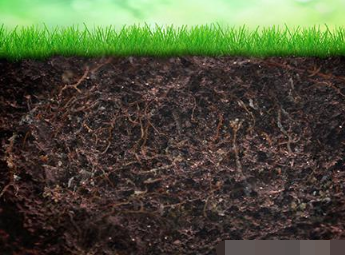 土壤有机质定义及提高有机质意义
