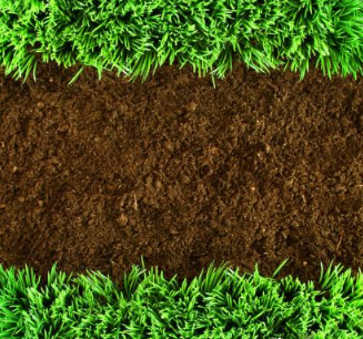 土壤有机质定义及提高有机质意义