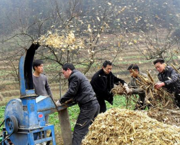 土壤板结肥力下降怎么办？这五步让土壤迅速改良，粮食丰产增收！