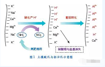 我国农田土壤酸化调控的科学问题与技术措施